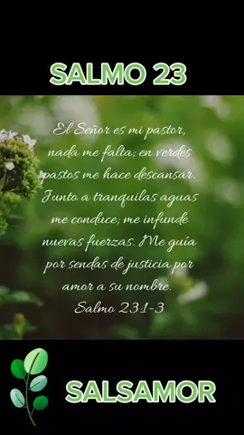 #salsamorconcristo  #orquestainspiracion🎺 