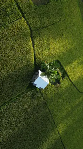 #mini3pro #djimini3pro #RelaxingView #BeautifulPlace #ILoveTheView #LandscapeVideos #NatureSongs #FarmLifeVideos #Outside #outsideedition #NatureSound #inthetallgrass #ruralvillage 