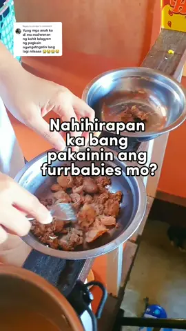 Replying to @nicayu  PET SAUSAGE BUY 1 GET 1  as appetizer for my furrbabies🥰 Such a big help for my Moshi na pickky eater!  #petsausage  #petsausagetreats  #appetizerideas  #dogmeal  #dogmealprep  #afurrdable 