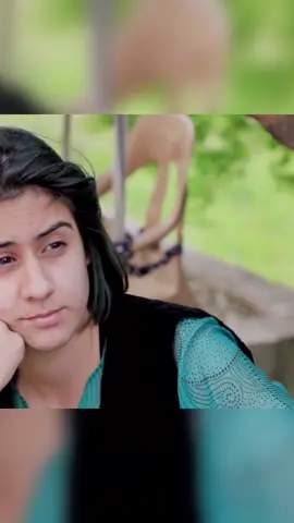 كوڕە تێ ئارام تێ ئارام😒😂#fyp #foryou #foryoupage #fypシ #kurdistan #kurd #iraq #hawler #sliemani #ئەکتیڤم_سفرە #ئەکتیڤبن #ئەکتیڤ #ھەولێر #سلێمانی 