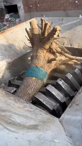 #satisfying #machines #in #action 