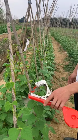 Genius!👌 #genius #smart #tools 