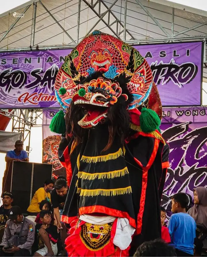 Bajang si raja geleng