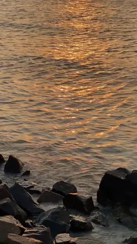 • depaysement  #vungtau #fyp #beach #beachlife 