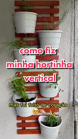 OFICIALMENTE MAE DE PLANTAS (socorro me ajudem kkkkkk) #maedeplanta #plantinhas #jardimvertical #hortavertical #hortaverticalemapartamento #plantaemapartamento 