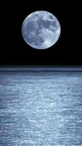 #CapCut Rindu #status #story #surabayatiktok 