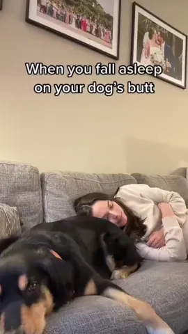 Pardon #dogsoftiktok 