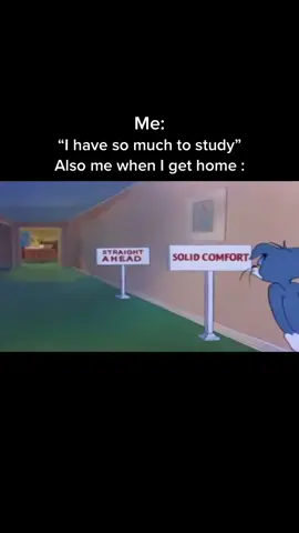 True?? #foryou #study #meme #school #fyp 