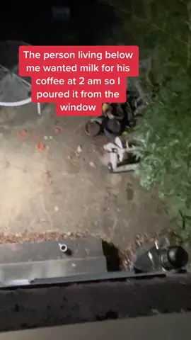 my neighbor wanted milk. i missed. #fyp #milk #neighbor #crazyneighbor #cursed 