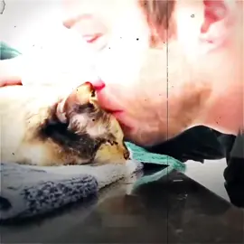 Cat owners fear this day #heartwarming #hearttouching #fyp #tiktok #Love 