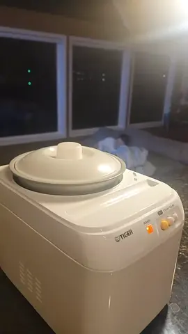 Making mochi with this amazing mochi machine!