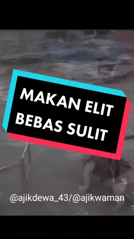 MAKAN ELIT BEBAS SULIT #JurusJituGlowing #fypシ #dog #doggy #dubbing #denpasar #ogohogoh 