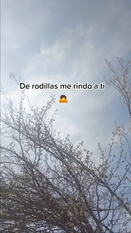 #🙏🙏🙏 de #Rodillas ante #Dios caen los gigantes #🙏❤️ de rodillas me #Rindo a ti #🙌🏽🙌🏽🙌🏽 #♥️♥️♥️ 