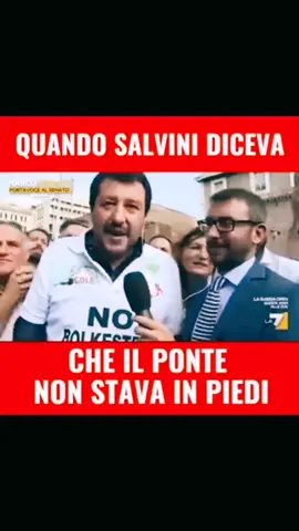 Vorrei conoscere gli ingegneri #salvini #pontesullostretto #sicurezza #satira #politica #perte 