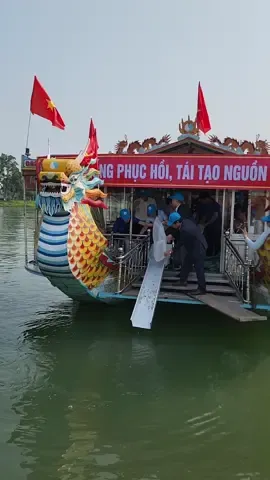 Thừa Thiên Huế thả hơn 207.000 con cá vào sông Hương để tái tạo nguồn lợi thủy sản. Đây là một trong những lần thả cá khủng nhất từ trước đến nay... #ThacatrensongHuong #lequangchannel #SongHuong #KhamphaHue #VedepHue #DulichHue 