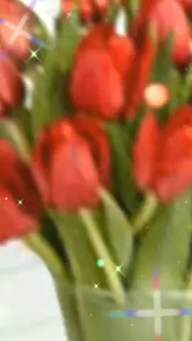 #Booklub #guten #morgen #schönen #tag #genise #liebe #grüße #sontag #wochenende #fürdich #foryou #happy #weekend #liebe 