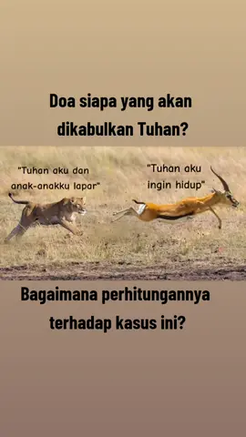 Kalimat ini paradox jadi tidak mungkin mereka berdua berdoa, karena otak mereka tidak seperti manusia terutama Homo Sapien...  #filsafat #pecintaanimals  #harimau #fiksi #umatmanusia #otak 