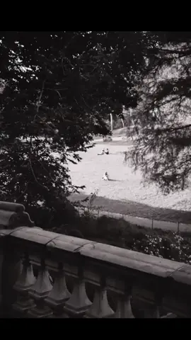 some of my favorite human subject film photos! I truly started getting into film photography in the summer of 2021, starting out as an interest and now a hobby. I’m still growing and learning about myself and technique, but its oh so fun to simply capture the beauty of humans:) #filmphotography #35mmphotography #35mmfilm 