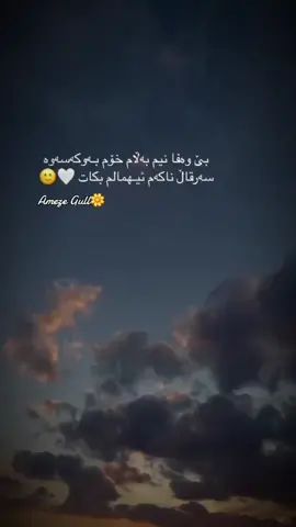 #بێ وەفا نیم بەڵام خۆم بەو کەسەوە  سەر قال ناکەم  ئیهمالم بکات#😔💔🥀🖤 #foryoupage #وتەی_جوان 