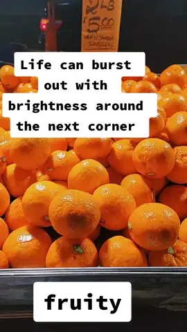 #fruity #citrus #bright #optimism #orange #latenightfruits 