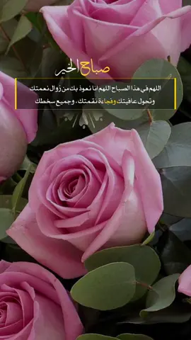 اللهم اني اعوذ بك من زوال نعمتك فجاءة نقمتك وتحول عافيتك وجميع سخطك. #صباح_الخير 