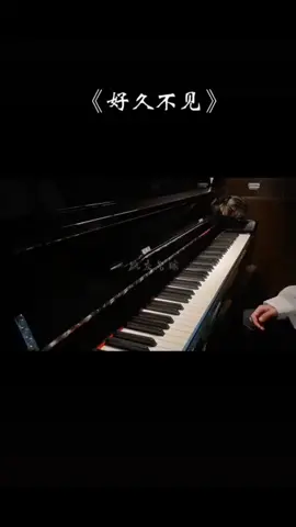 《 好久不见 》Đã Lâu Không Gặp #piano #路灰气球 #好久不见#ostbennhautrondoi  #chillpiano #hotdaoyin 