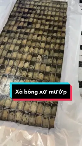 Làm xà bông từ quả Xơ Mướp #htxsinhduoc #xabong #LearnOnTikTok #vtvcab #tiktokshop #muataitiktok 