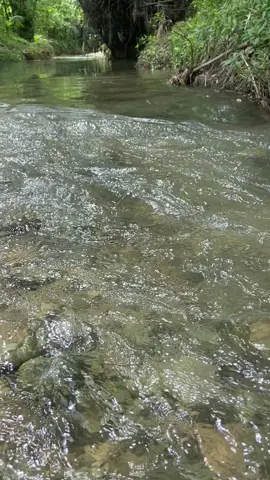 Original Sound, ang sarap sa feeling #sapa #river #province #countryside #aloguinsancebu 