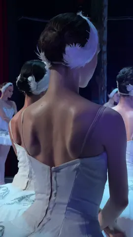 WORLD BALLET SERIES: Swan Lake🦢 • #worldballetseries #theater #ballerina #ballet #classicaldance #swanlake 