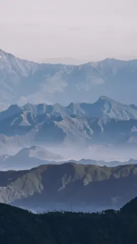 A day with Peace 🕊️  . . . . #foryou #fypシ #fypage #reelsviral #viral #instagram #tiktokindia #foryoupage #reels__tiktok 