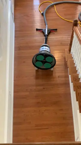 Stain samples on for a color decision by  the homeowner. #hardwood #sanding #voiceover #appalachia #american 