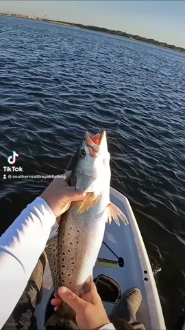 Sheepshead eat Hoodwinks 😯 🔥 #southernsalt #youtube #alabamafishing #fishing #fishtok #kayakfishing #bigfish #sheepshead 