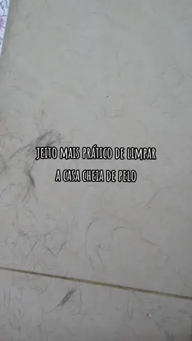 demorei mas cheguei com mais um #nalatododia com dicas de limpeza da casa #limpeza #limpezadacasa #cachorro #quedadepelo
