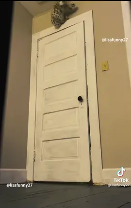 Can’t stop watching this video, hilarious and laugh so hard!!!😂😂😂😂😂😂 #funnyvideos #scare #prank