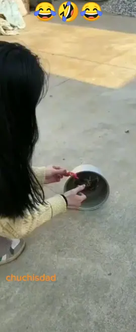 #divertido #funny #parapartirse #risas #cachondeo #humor #funnyvideos #reirse #lentejas 