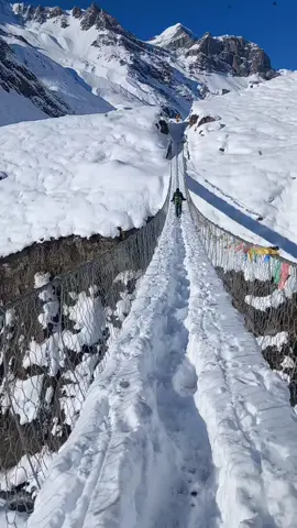 #manangnepal  #thoronglapass #nepaladventuretravel #touristattraction @Muskangunda @TROUBADOUR🎵🫡 @Shrestha Diaries 