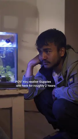 No pets are here to stay longer than us 😢.  #fish #aquariumideas #aquariumidea #aquariumtanksetup #top10aquarium #aquariumkathmandu #aquariumdecoration #aquascapenepal #aquariumsetup #plantedaquarium #aquarium #aquascape #top10guppies #guppy #guppynepal #aquariumfish #nepal #top10freshwaterfish #aquaticplants #fyp #plantslover #plants #pet #kathmandu
