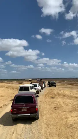 #altaguajira #puntagallina #fyp #toyota #martinelias #vallenato #viral 