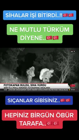 #cupcat #fypシ #CapCut #beniöneçıkart #benikeşfet