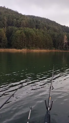 Điểm này kể cà người Đà Lạt cũng ít biết nè , ae có vào nhớ giữ vệ sinh chung giữ gìn sân chơi nhé  #dalat #cauca 