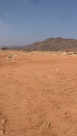 #العطفين_بلادوايلة 