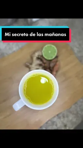 ✨Té de cúrcuma, jengibre y limón✨  Una bebida llena de beneficios: ✅Reduce la inflamación crónica  ✅Mejora la Salud de tu corazón  ✅Alivia los dolores musculares  ✅Mejora el hígado graso  ✅Ayuda a reducir los niveles de glicemia e insulina en sangre  ✅Ayuda a eliminar toxinas  ✅Disminuye los triglicéridos y el colesterol  ✅Mejora la digestión  A pesar de sus múltiples beneficios y de ser reconocida como el antioxidante natural más potente, en algunas personas puede causar problemas…  ⚠️Te cuento algunas de las contraindicaciones⚠️ -Si se consume en grandes cantidades puede causar malestar estomacal  -Si tomas medicamentos anticoagulantes deberías evitar consumir la cúrcuma  -Puede estimular las contracciones (evitar si estás embarazada)  ¿Consumes la cúrcuma? Cuéntame en los comentarios los leo⬇️  . #recetasfaciles #recetas #curcuma #jengibre #tips