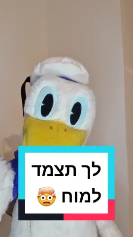 #חיבור סרטון עם @ערוץ כנסת  תעשה לי טובה לך תצמד למוח  #אחמדטיבי #חומוס #פאלפל 