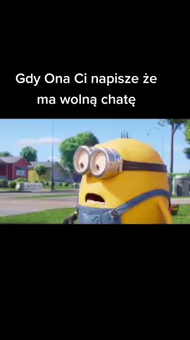 #minionki #bajka #humor #film #zart #minions #rafonixmemes 