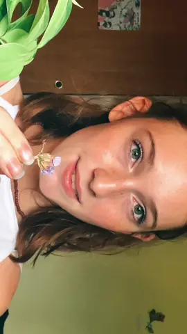 te regalo una flor 🌷