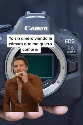 X2 y quien mas 😂 #Camaras #Fotografos #Humor #Fotografia #PedroPascal #CreadorDeContenido 
