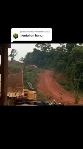 Membalas @mamankece107  bantu follow bang. lunas yah! #mlbbttofficial #storybugis #trucksoftiktok #truklogging #trukkalimantanpunyacerita 