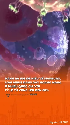 Cảnh báo mới nhất về virus Marburg, người dân cần biết và phòng tránh #yan #yan45s #tiktoknews #trending #TikTokGiaiTri #xuhuong #dichbenh #virusmarburgo #marburgovirus #WHO 