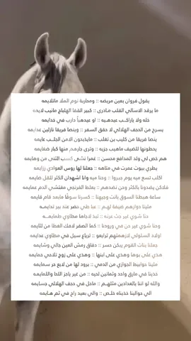 #بني_سلول #اكلب #بيشة #النقيع #فروان_السلولي 