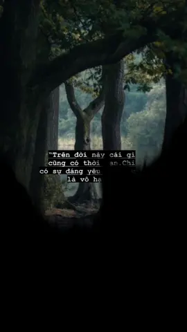 Giành cho anh em nịnh người yêu 💕 >3#tinhyeu #tinhyeucuatoi #statustinhyeu #xuhuong #xuhuongtiktok 